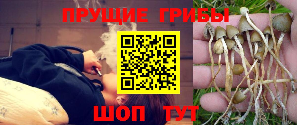 дарнет шоп  Псилоцибиновые грибы Cubensis  Вход с VPN  Ханты-Мансийск 