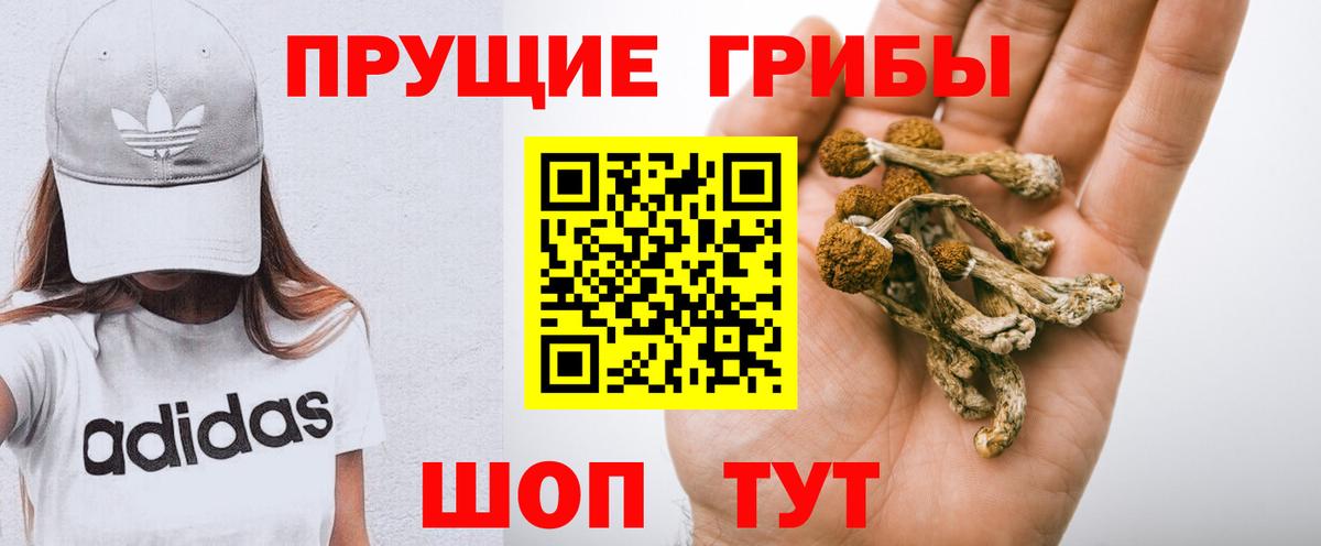 Псилоцибиновые грибы Psilocybine cubensis Ханты-Мансийск